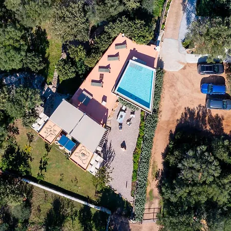 Sole Tra I Ginepri *