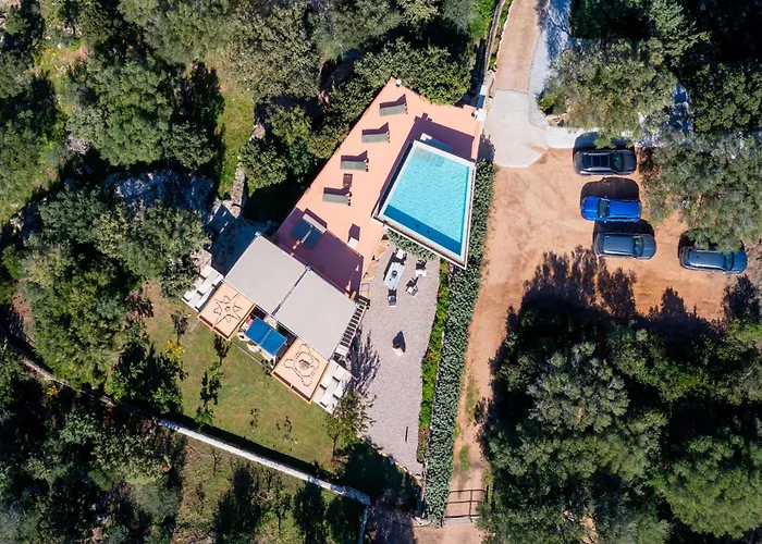 Sole Tra I Ginepri וילה אולביה